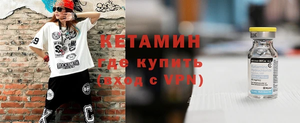 крисы Корсаков