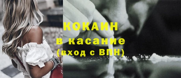 крисы Корсаков