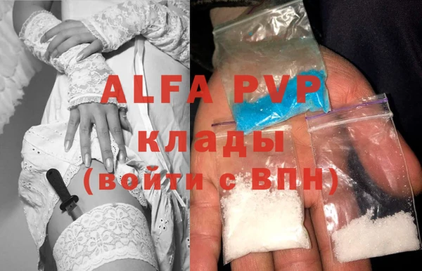 крисы Корсаков