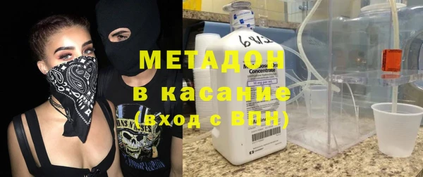 крисы Корсаков