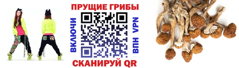 Псилоцибиновые грибы прущие грибы  Красноармейск 